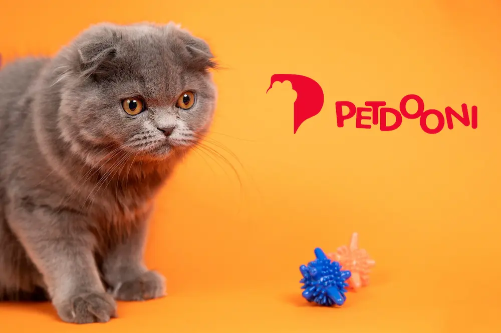 تأثیر توپ بازی گربه بر غریزه شکار و سلامت روانی آن | پت شاپ آنلاین پت دونی 1404